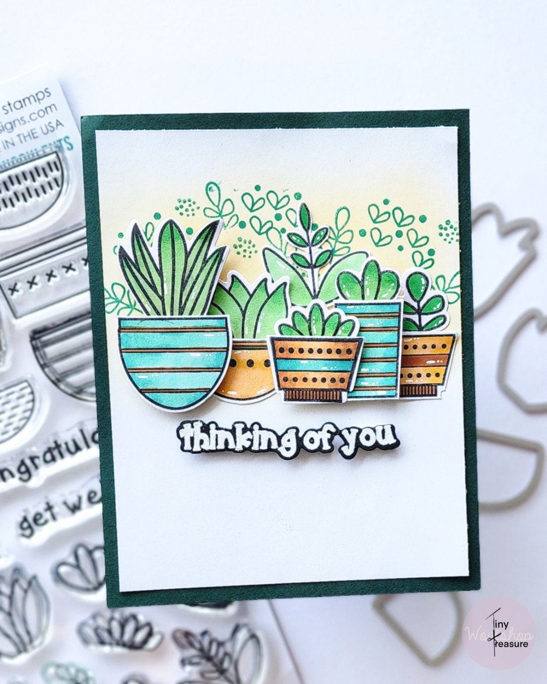 clearance succulents CLEARANCE