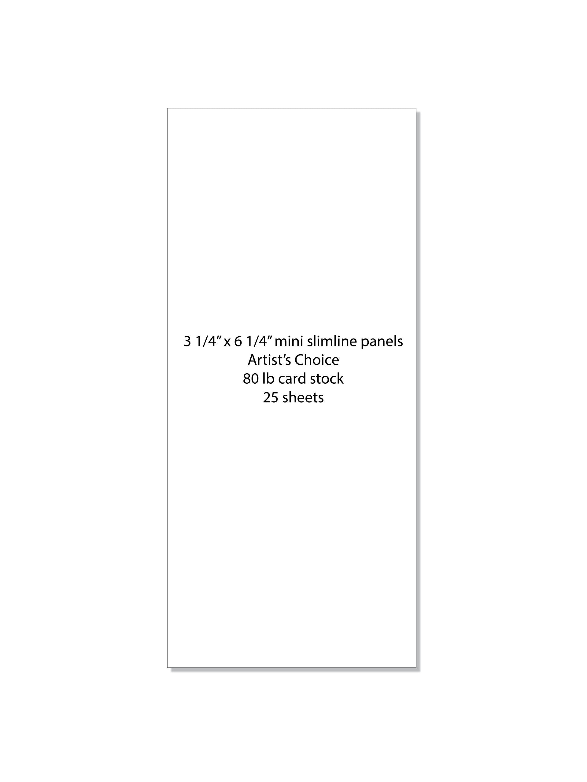 CARD STOCK PANELS- Artist's Choice Layering Weight MINI Slimline 3