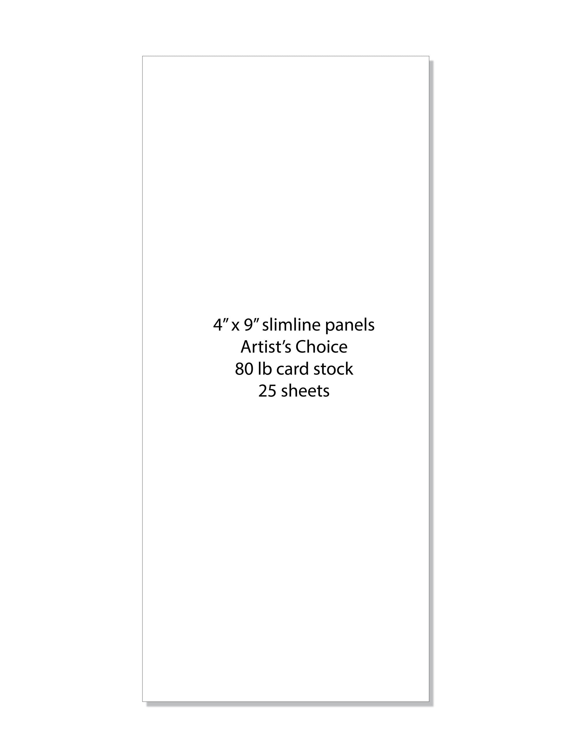 CARD STOCK PANELS- Artist's Choice Layering Weight Slimline 4 x 9