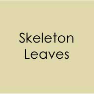 Skeleton-Leaves-Swatch